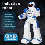 Multifunctional Intelligent Robot