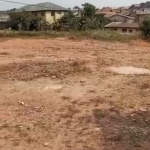 5 plot of land